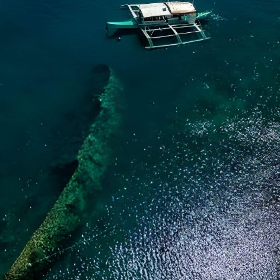 CORON REEFS & WRECKS - Image 2
